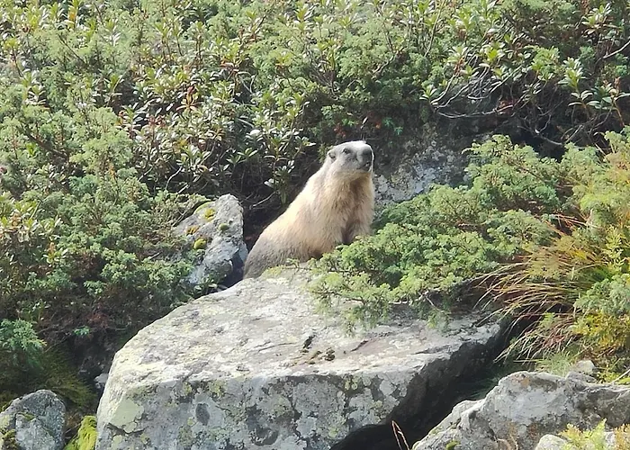 Stabentheiner Apartmán